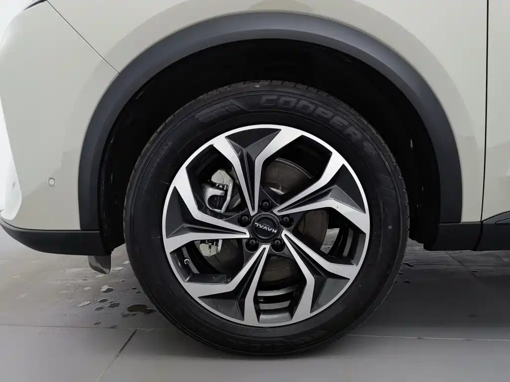 Haval Xiaolong MAX — миниатюра 17