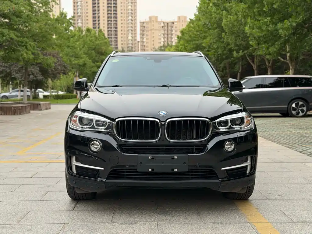 BMW X5 (Import) — миниатюра 2