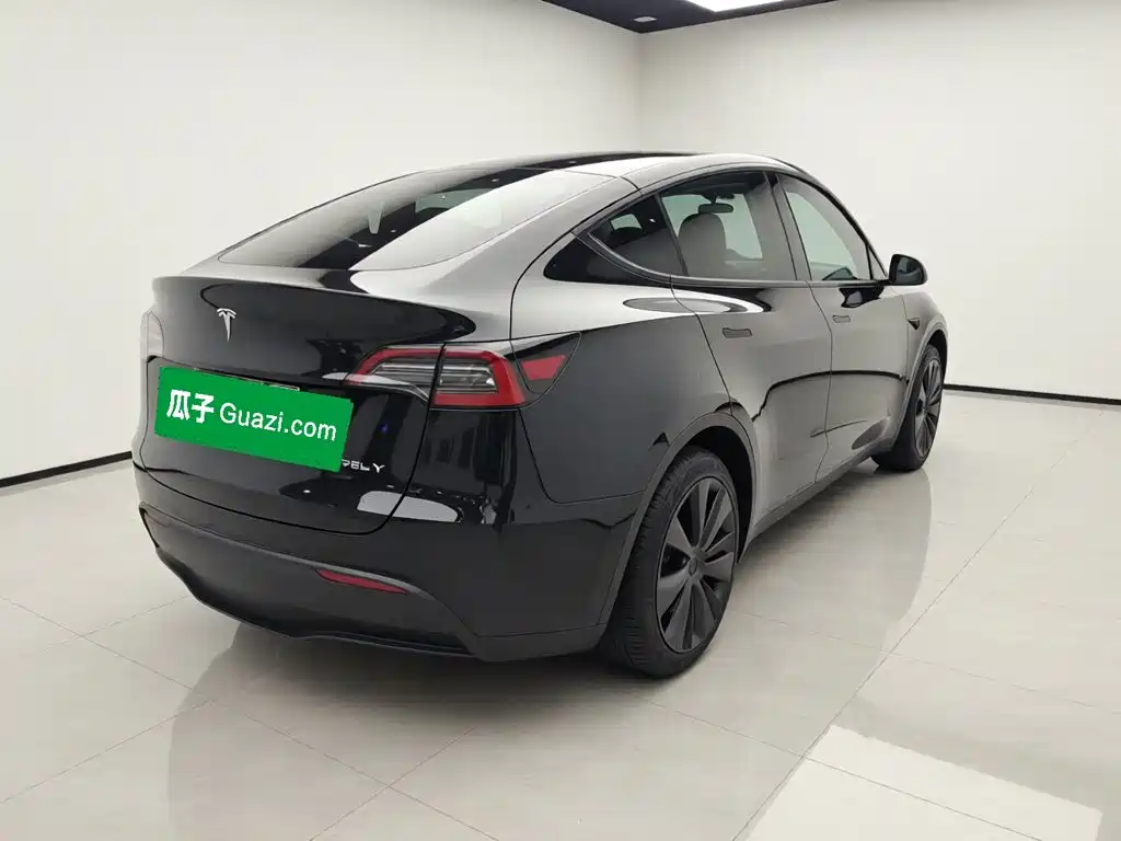 Tesla Model Y — миниатюра 4