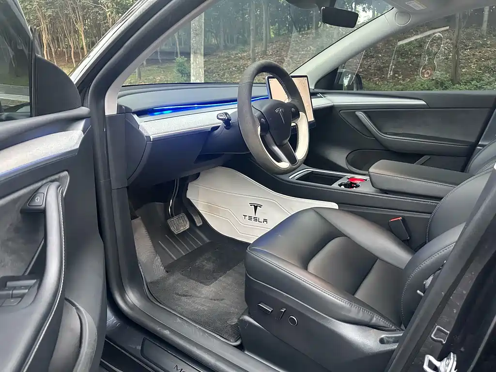 Tesla Model Y — миниатюра 2