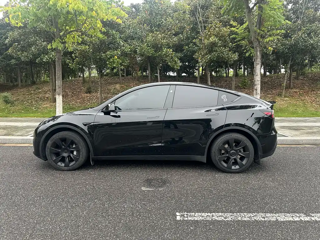 Tesla Model Y — миниатюра 8