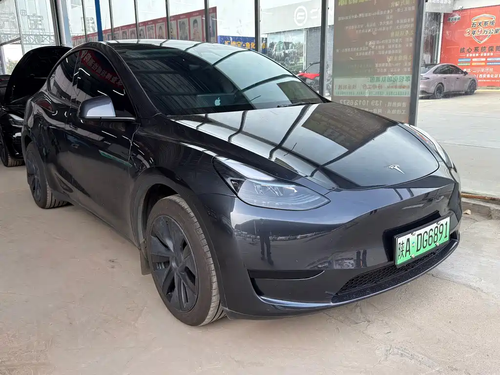 Tesla Model Y — миниатюра 3