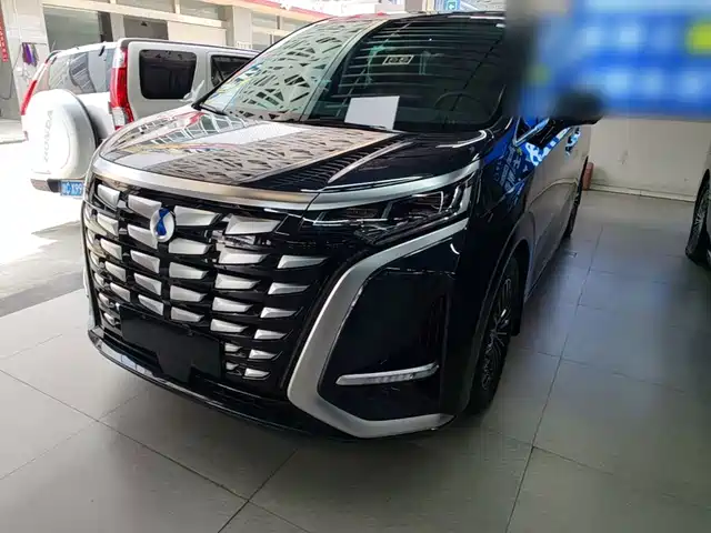 2023 Denza D9