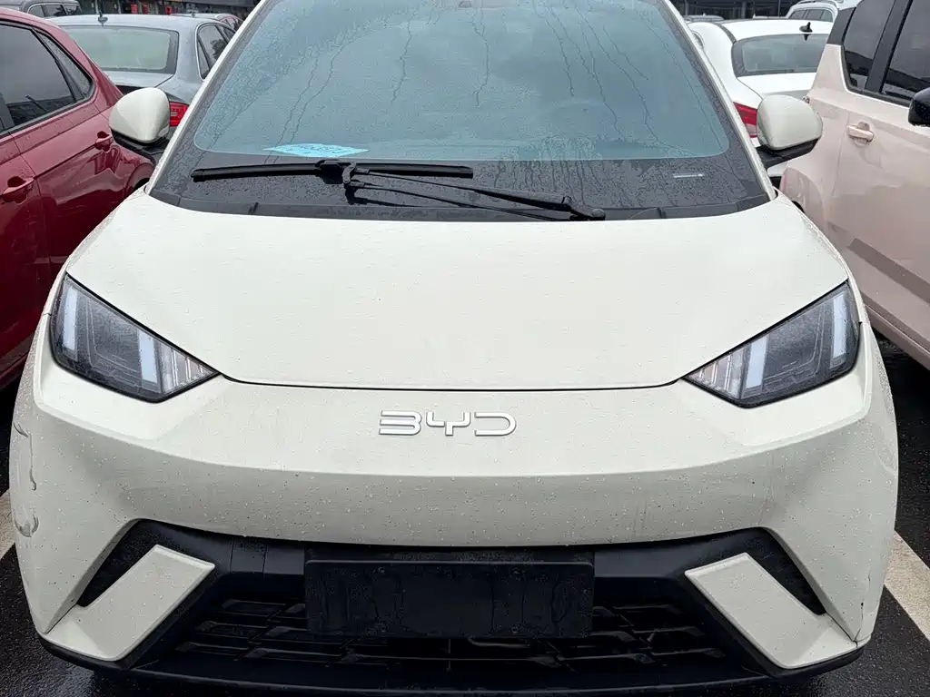 BYD Seagull - фото 2
