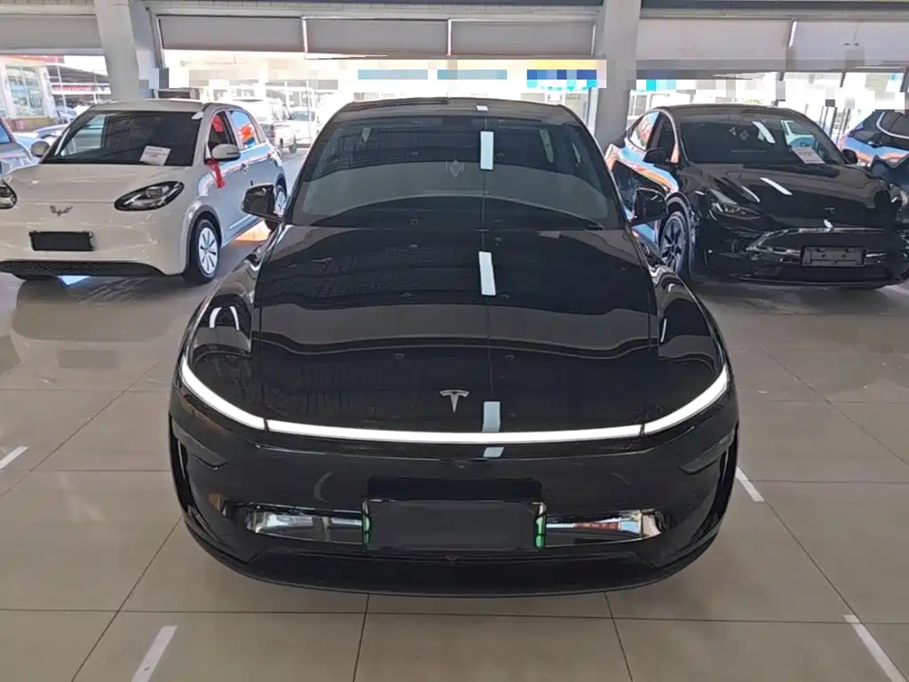 Tesla Model Y — миниатюра 3