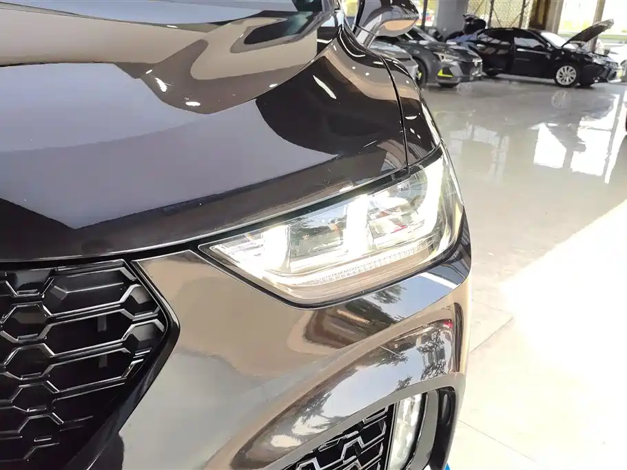 WEI PAI WEI BRAND VV5