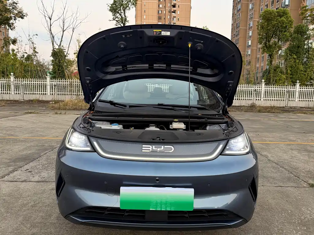 BYD Dolphin — миниатюра 16