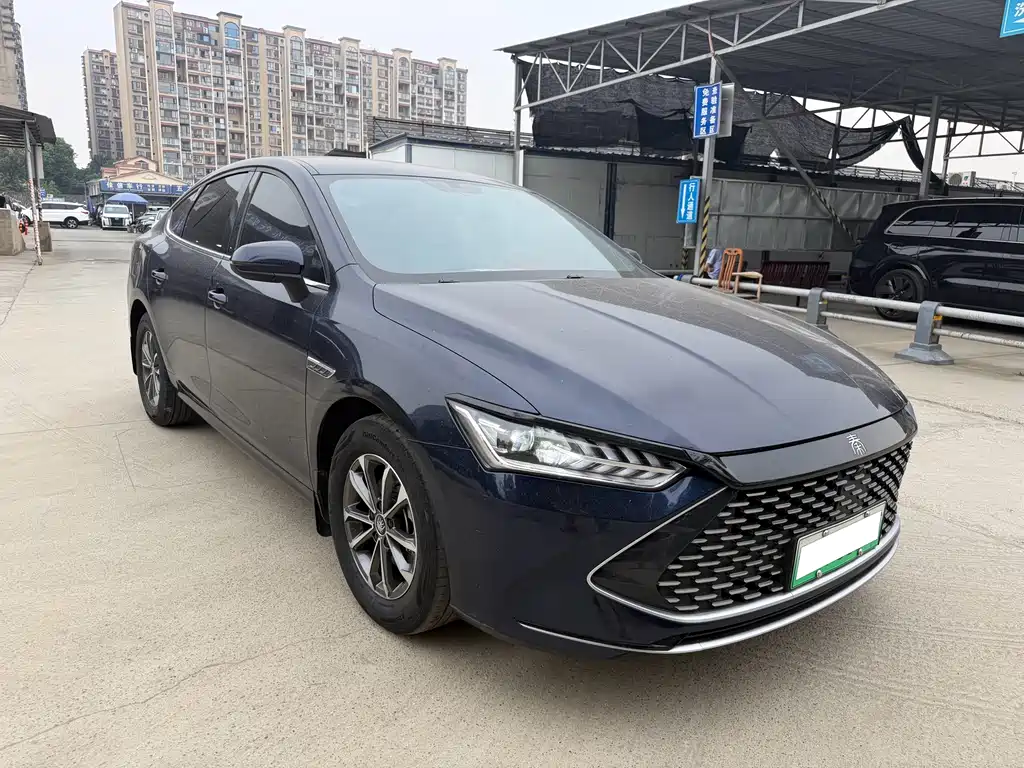 BYD Qin Plus PLUS 2024 DM-i 55KM Lead