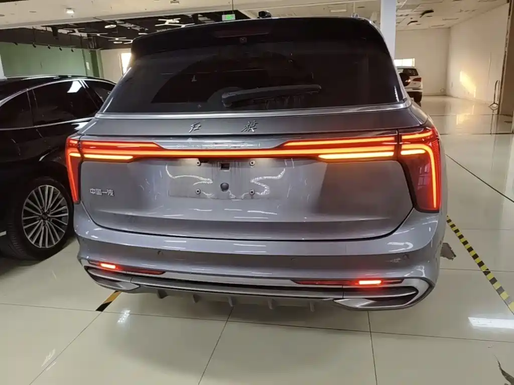 Hongqi Hongqi E-HS9 — миниатюра 6