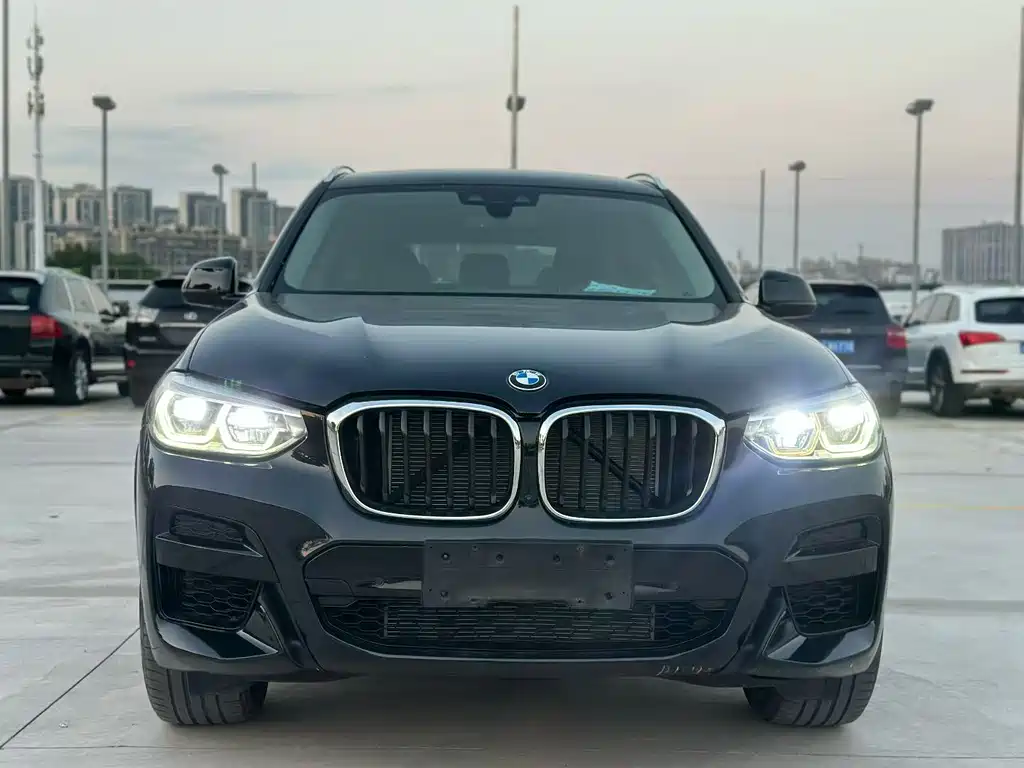 BMW X3 — миниатюра 2