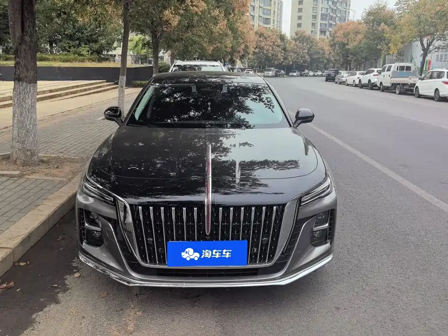 Hongqi Hongqi H5 — миниатюра 2