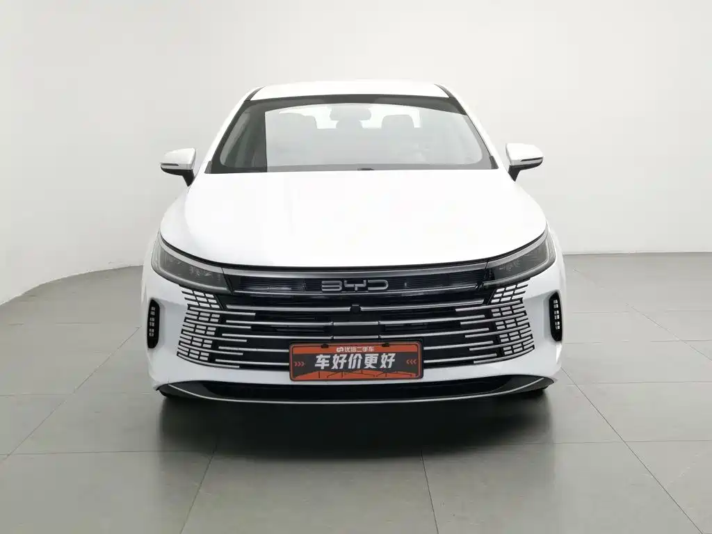 BYD Destroyer 05 — миниатюра 3