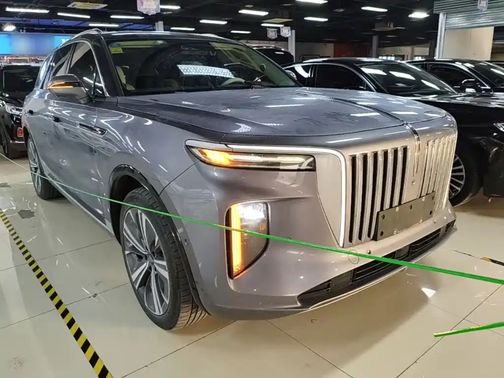 Hongqi Hongqi E-HS9 — миниатюра 4