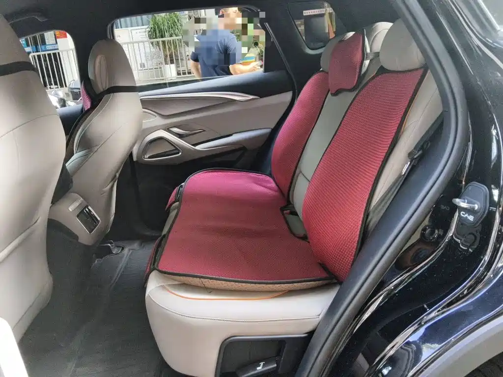 BYD Pro New Energy — миниатюра 18