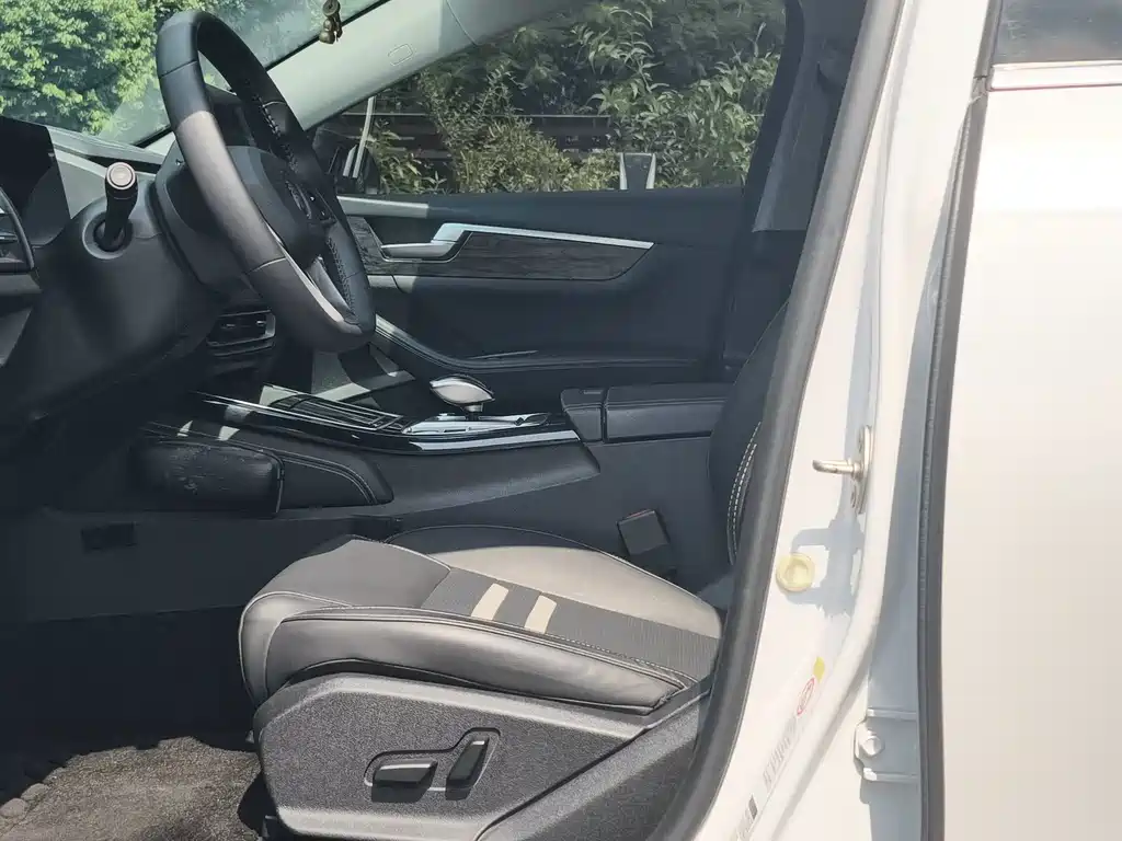 BYD Qin Pro NEV — миниатюра 14