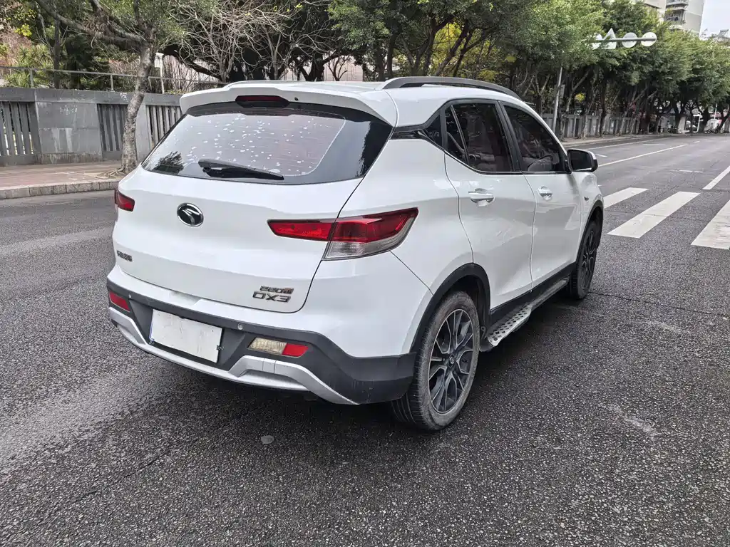 Soueast DX3 — миниатюра 6