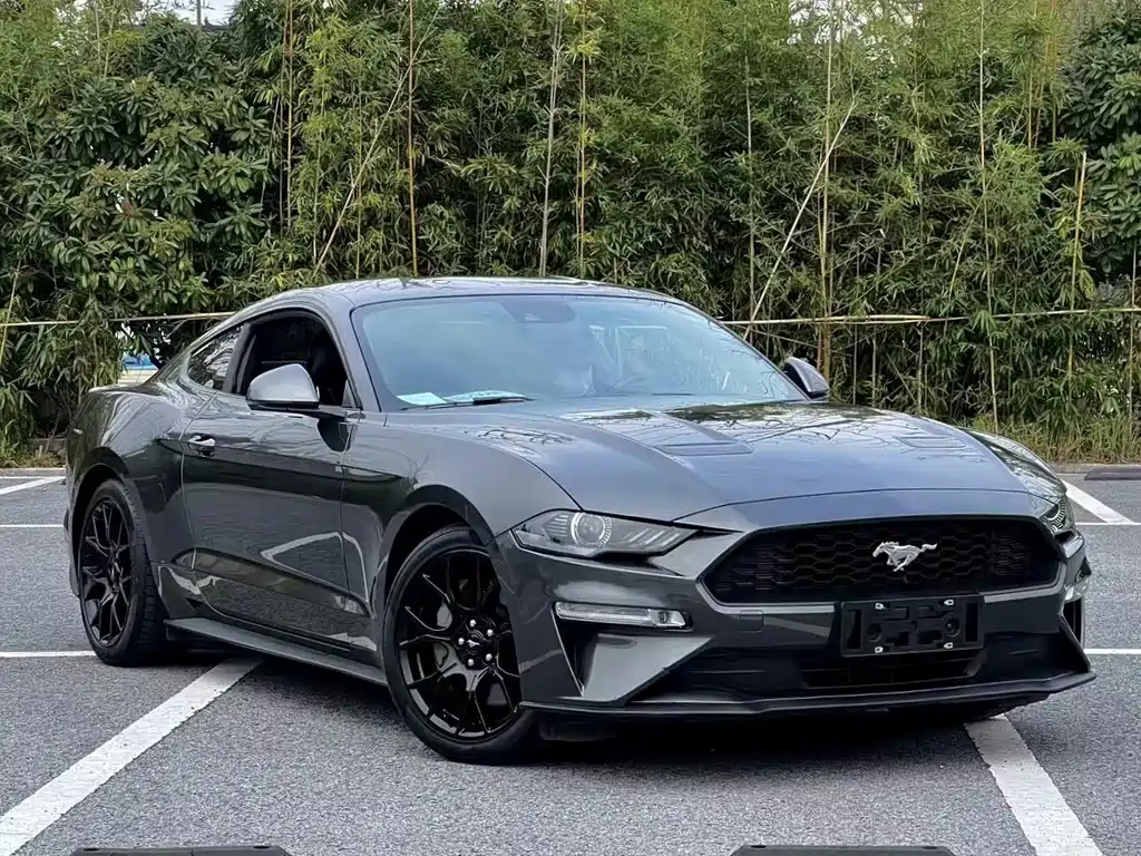 Ford Mustang — миниатюра 3