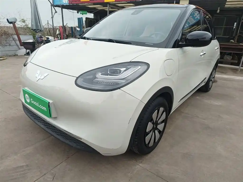 Wuling Bingo 2024