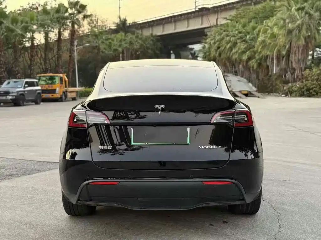 Tesla Model Y — миниатюра 8