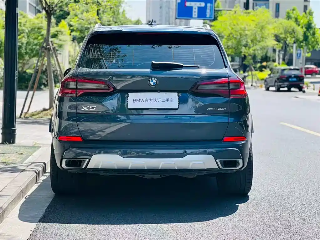 BMW X5 2020 xDrive30i X