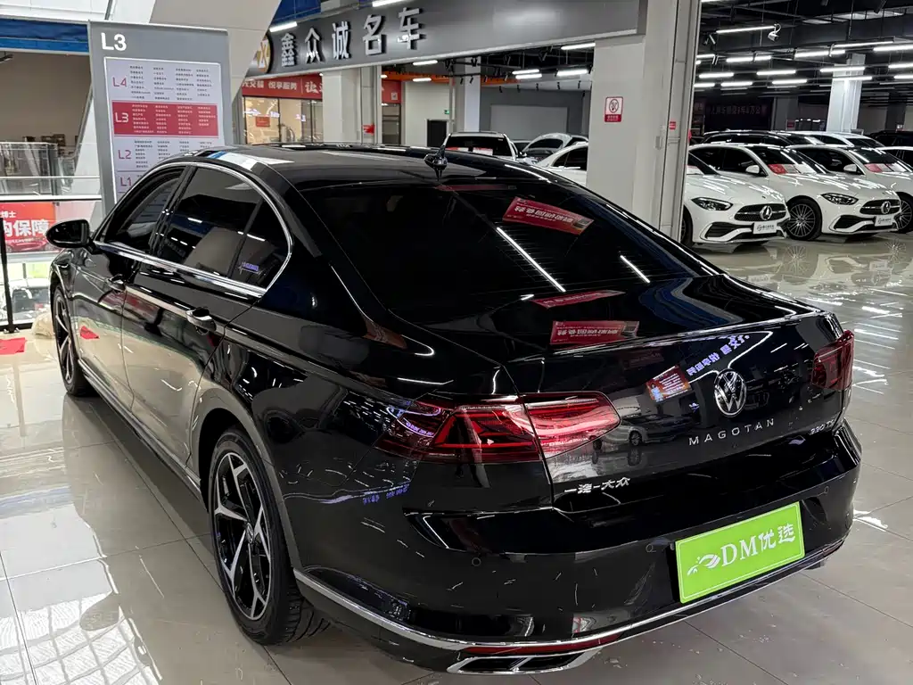 Volkswagen Magotan 2025 330TSI DSG Luxury