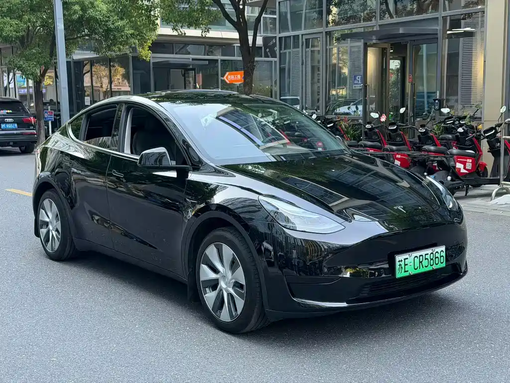 Tesla Model Y — миниатюра 3