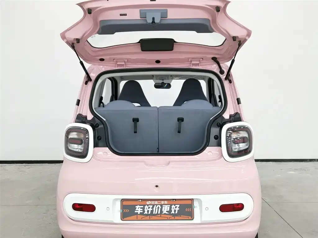 BESTUNE PENTIUM PONY