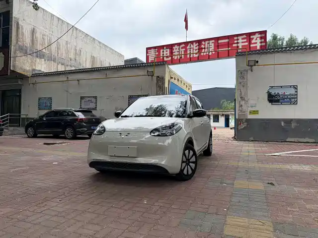 2024 Wuling Motors Binguo