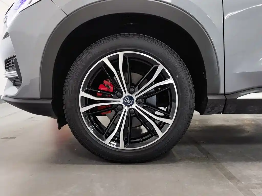 BYD PLUS — миниатюра 17