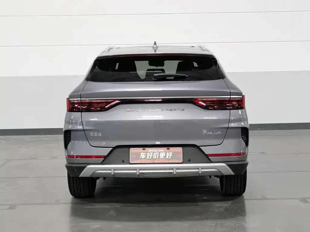 BYD PLUS — миниатюра 4