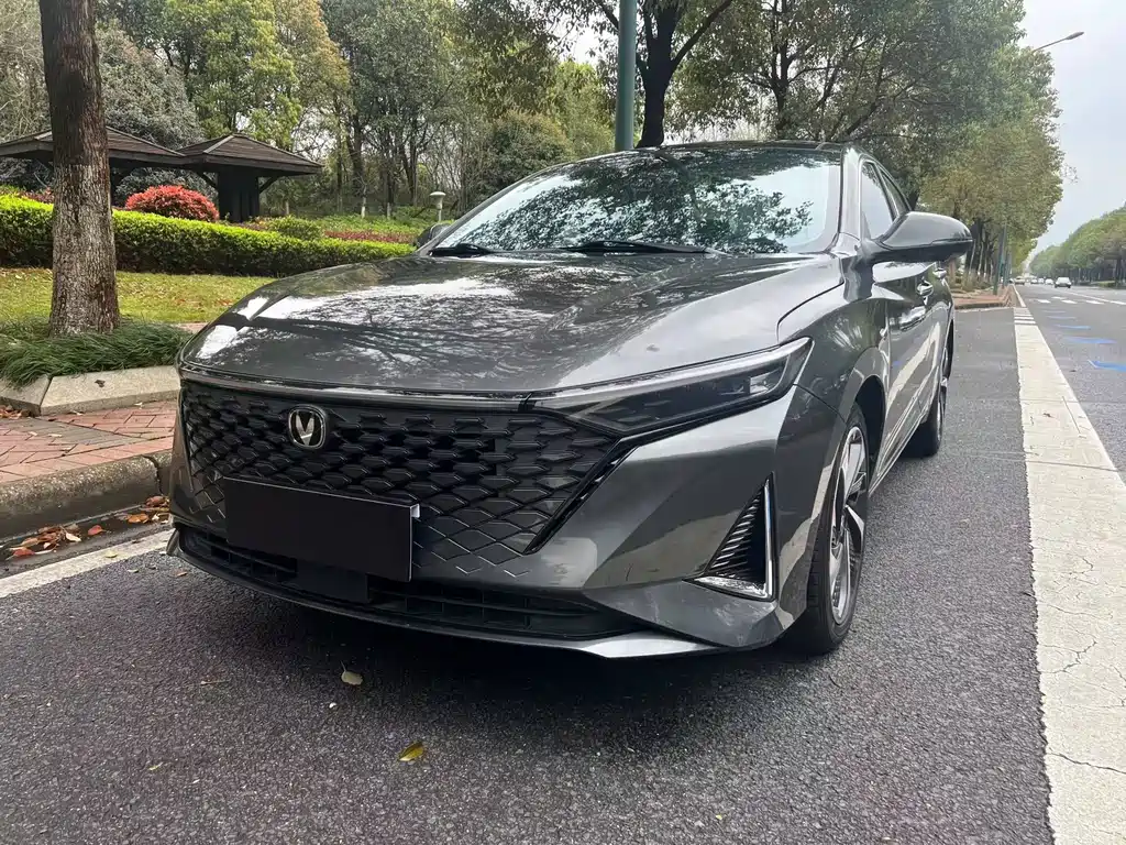2022 Changan Raeton - zdjęcie 1 z 9
