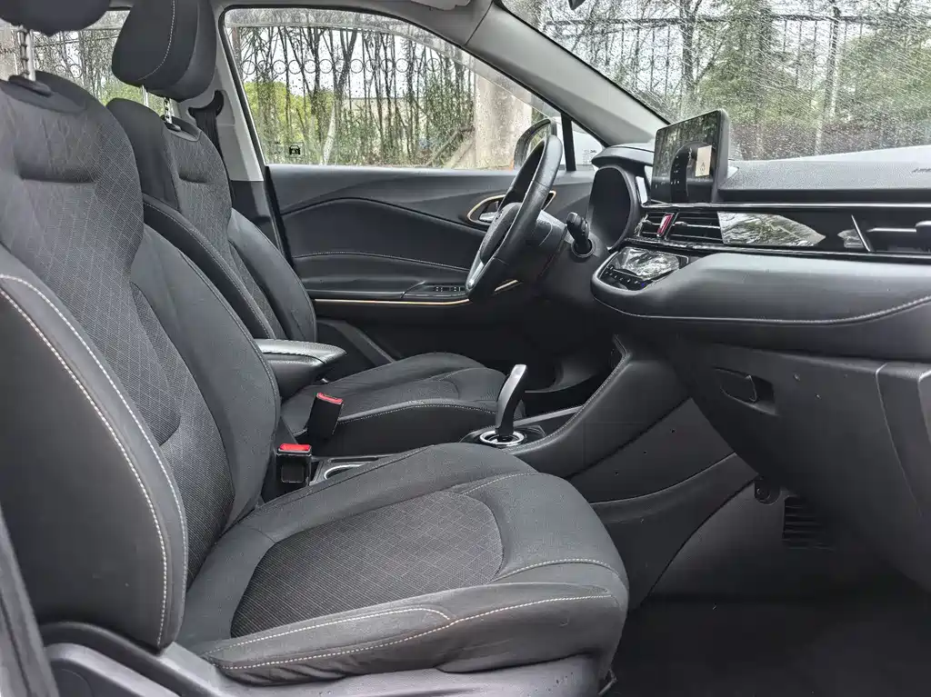 JAC JAC iEVS4 — миниатюра 20