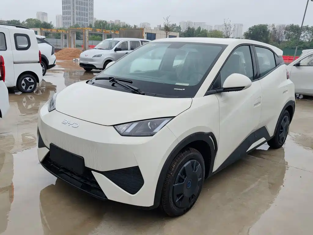 BYD Seagull 2025 Smart Drive 305km
