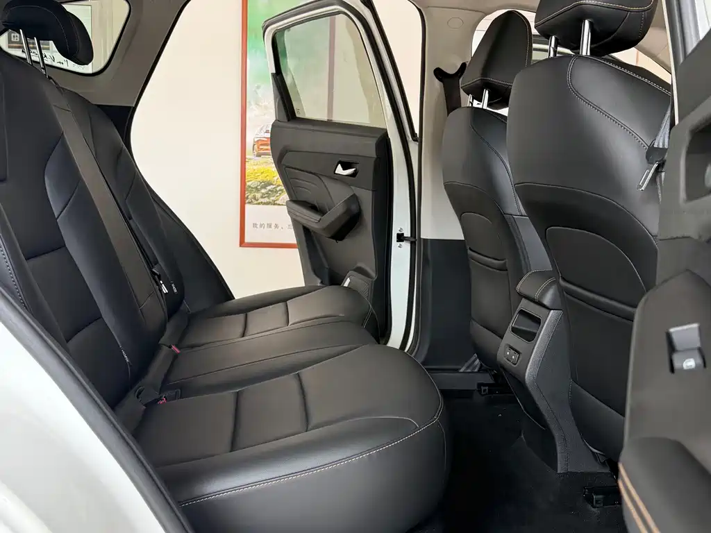 Haval Chitu Dynamic Enjoy Edition 1.5T Brass Rabbit, фото 38