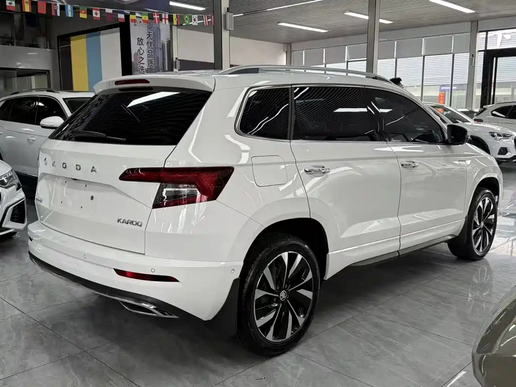Skoda Karoq TSI280 Luxury Enjoy Edition, фото 12