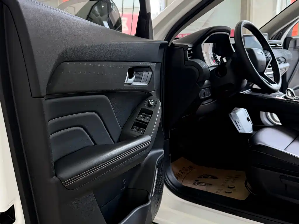 Haval Chitu Dynamic Enjoy Edition 1.5T Brass Rabbit, фото 9