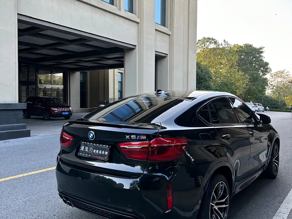 BMW X6 M