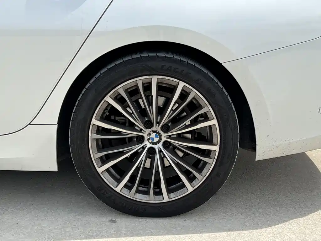 BMW 3 Series 3 2020 325Li