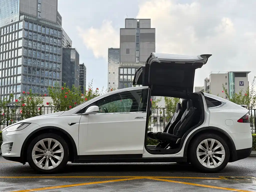 Tesla Model X — миниатюра 4