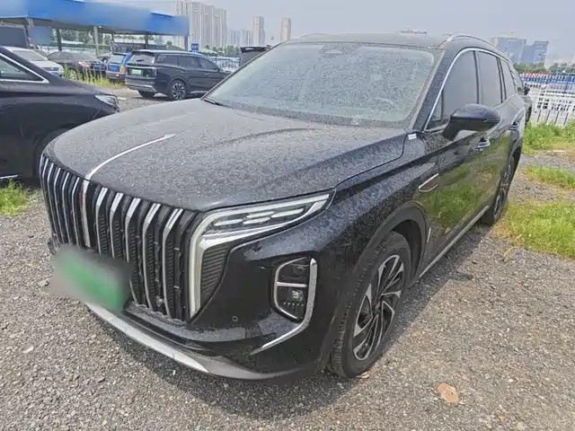 2024 Hongqi HS7