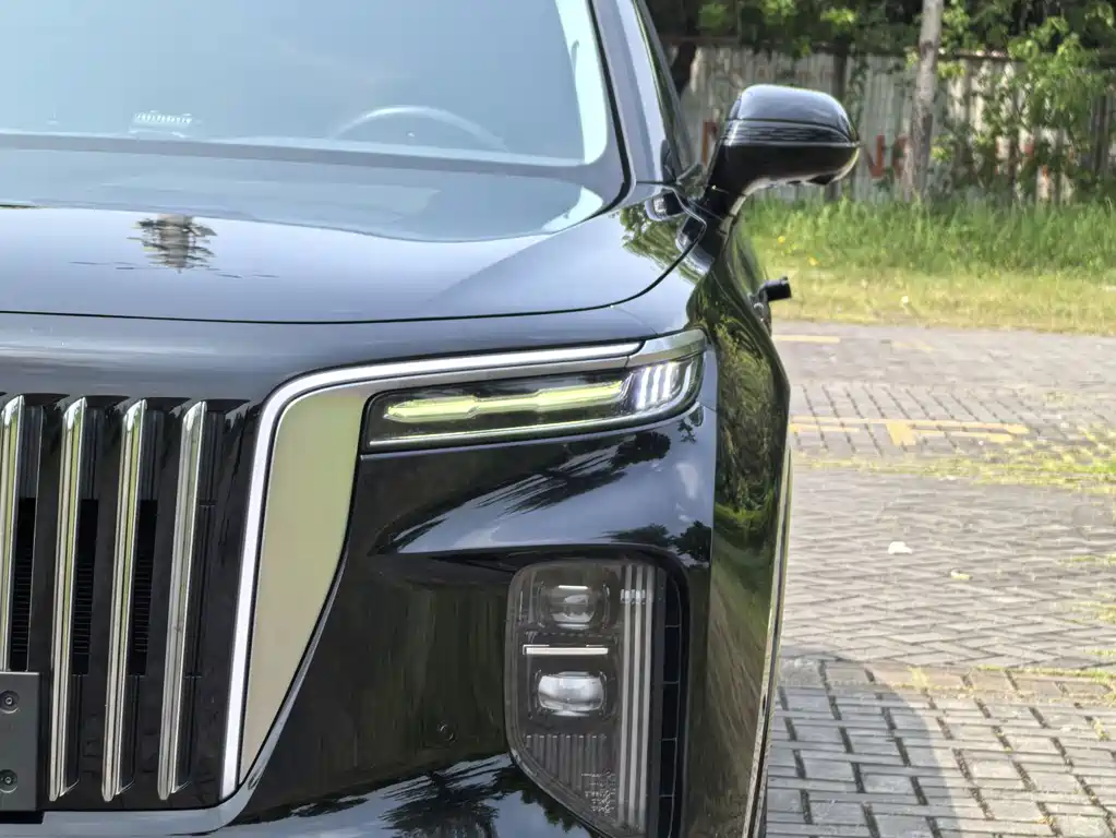 Hongqi Hongqi E-HS9 — миниатюра 4