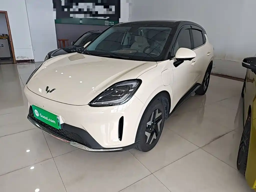 Wuling BinguoS S 2025 325km Flagship