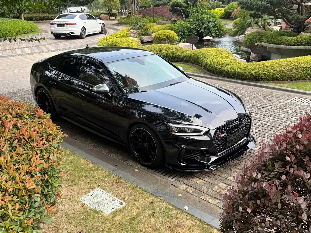 Audi S5 — миниатюра 9