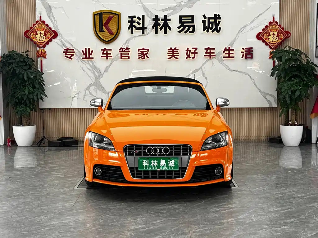 Audi TTS — миниатюра 2