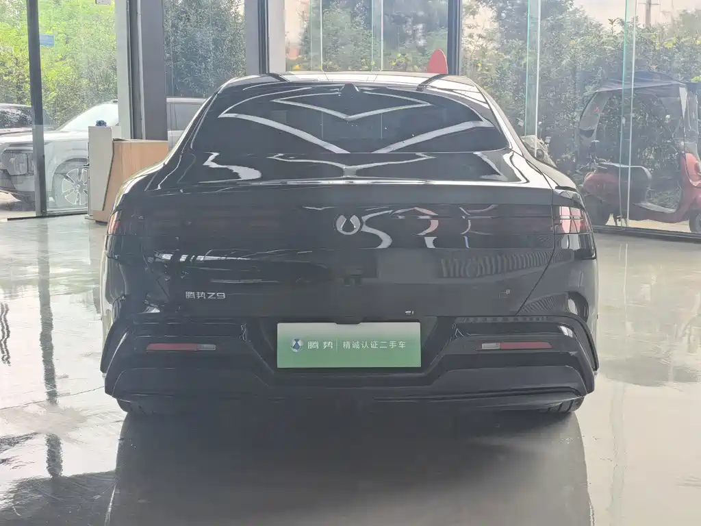 Denza Denza Z9 — миниатюра 10