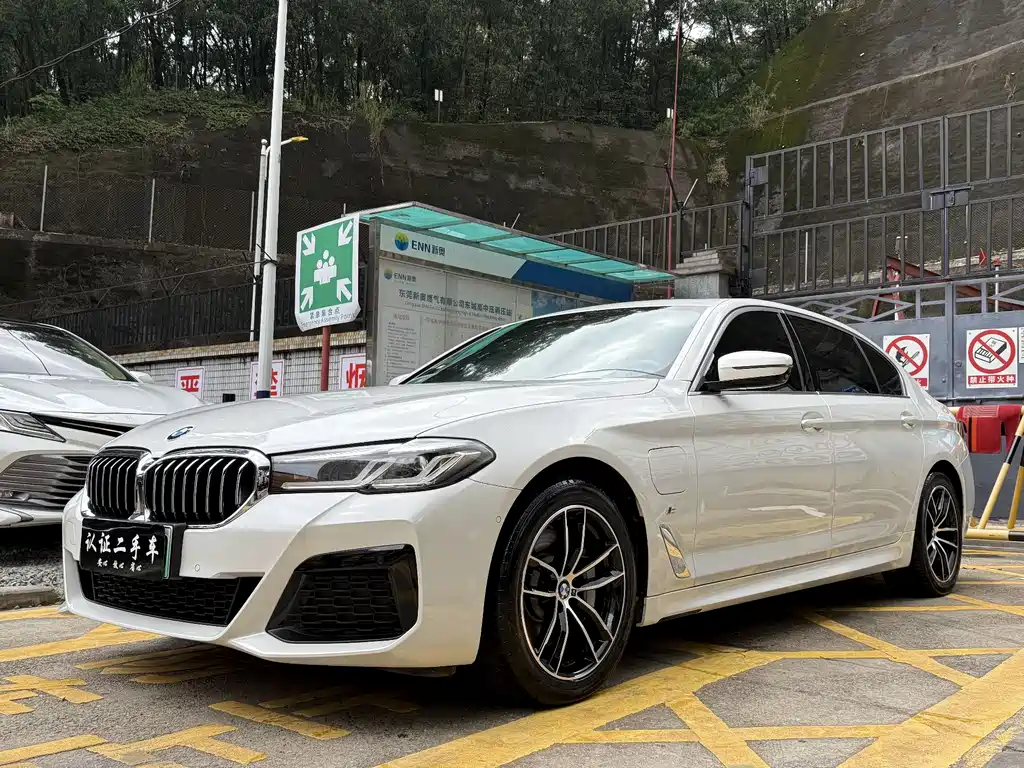 BMW 5 Series New Energy 2021