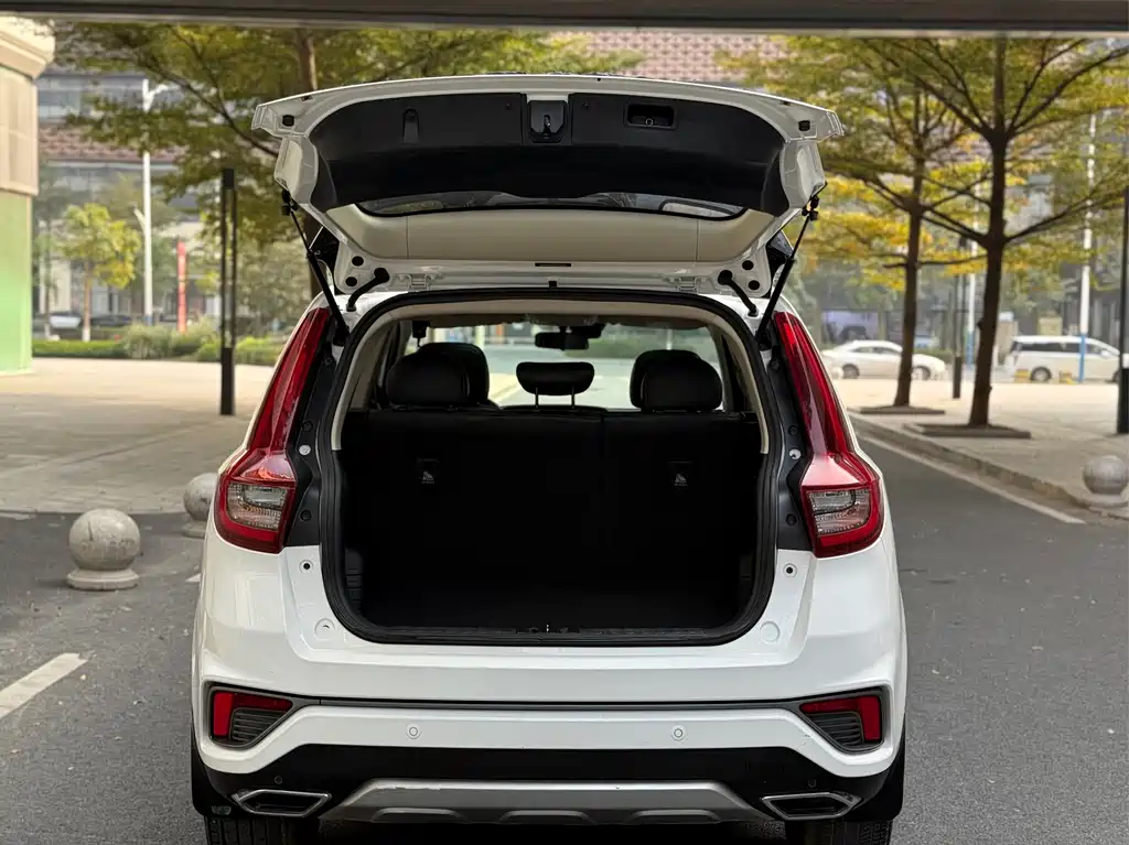 GEELY AUTOMOBILE VISION X6