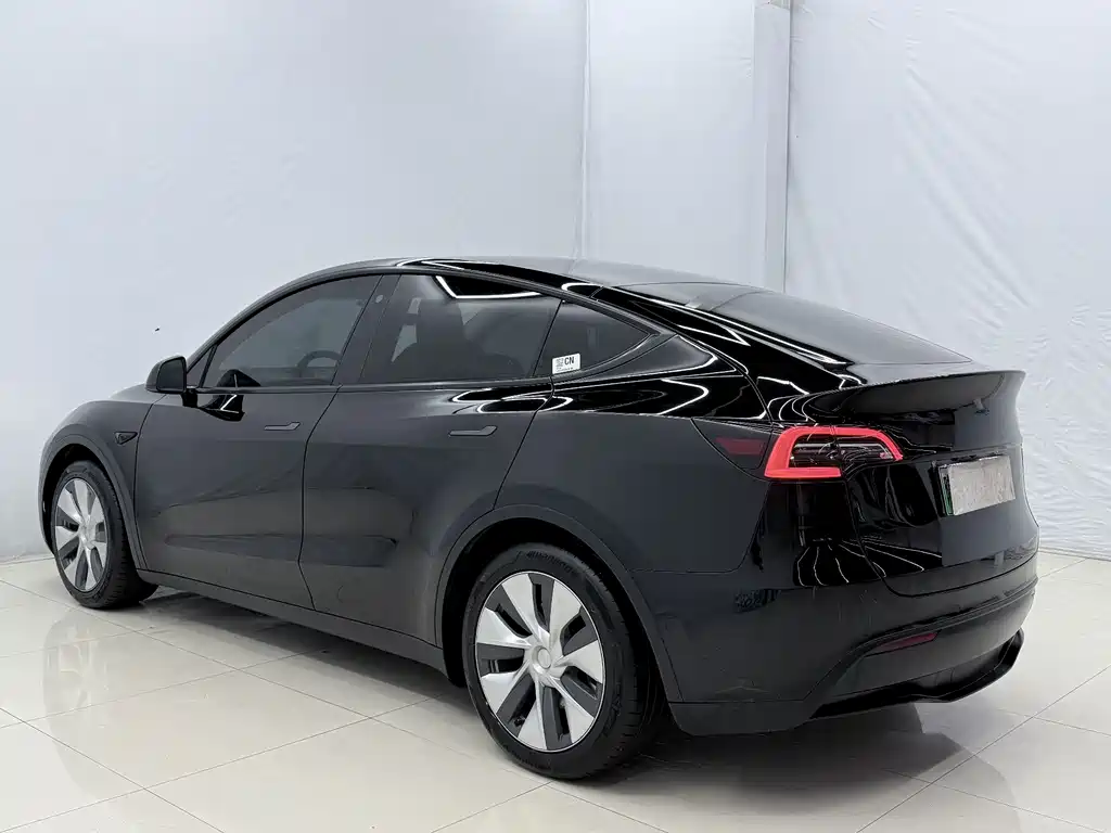 Tesla Model Y — миниатюра 14