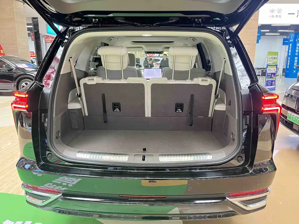 WEI PAI WEI BRAND BLUE MOUNTAIN