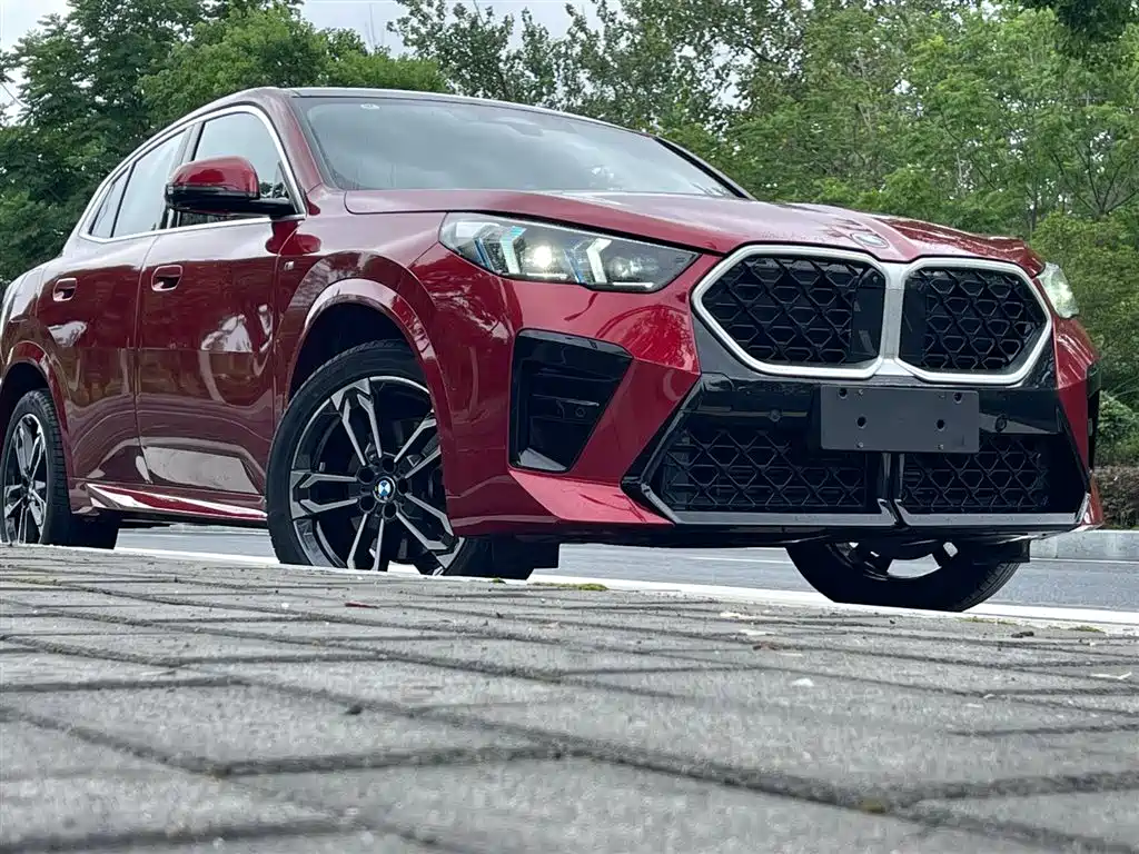 BMW X2 (Import) — миниатюра 8